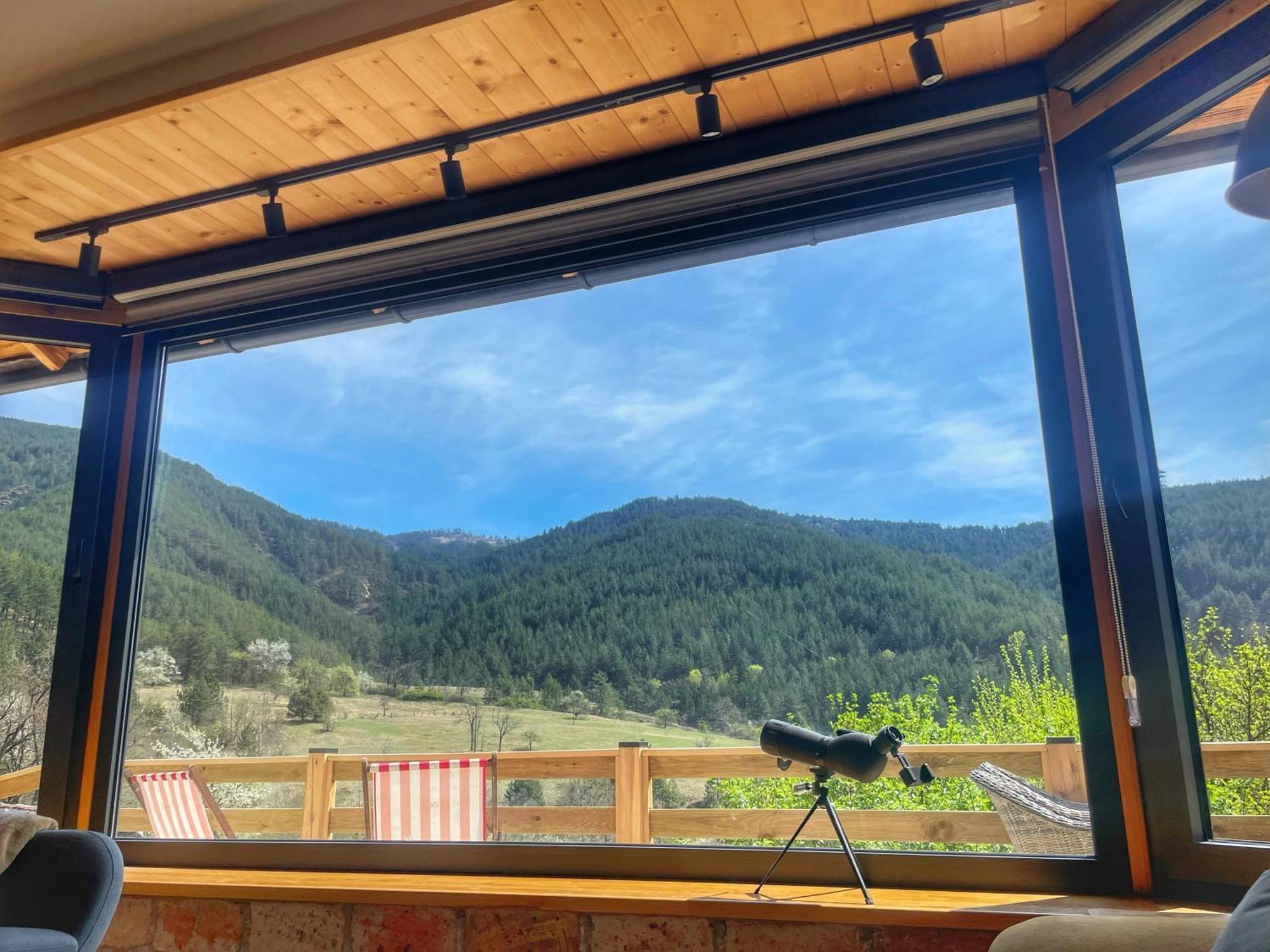 Zemunica Resimic Villa Mokra Gora Bagian luar foto