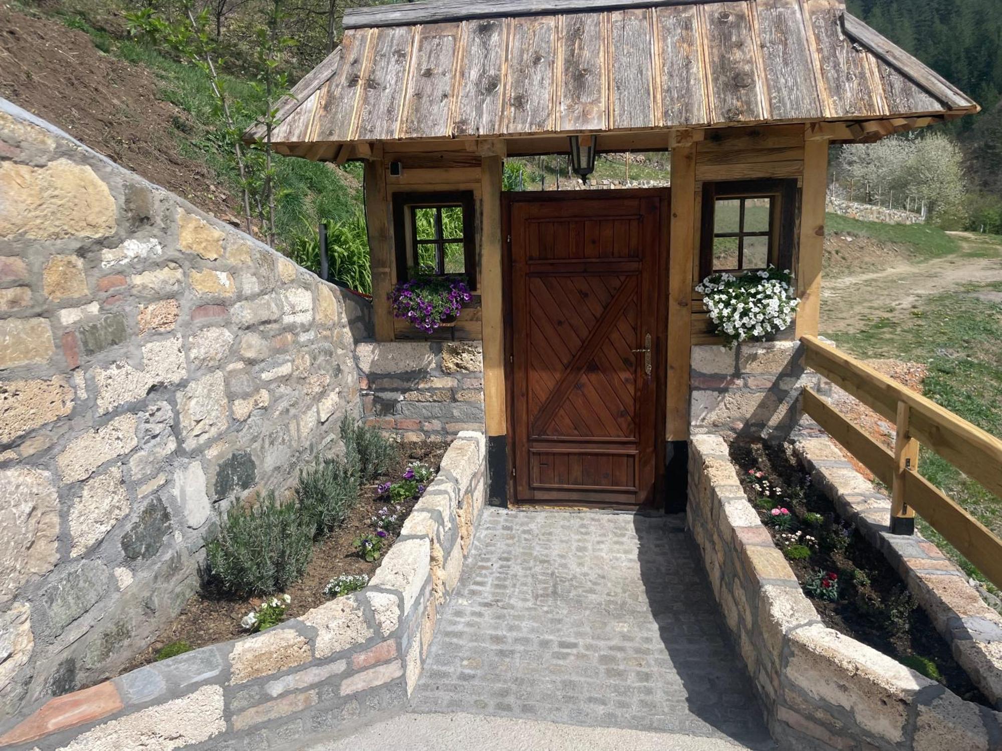 Zemunica Resimic Villa Mokra Gora Bagian luar foto