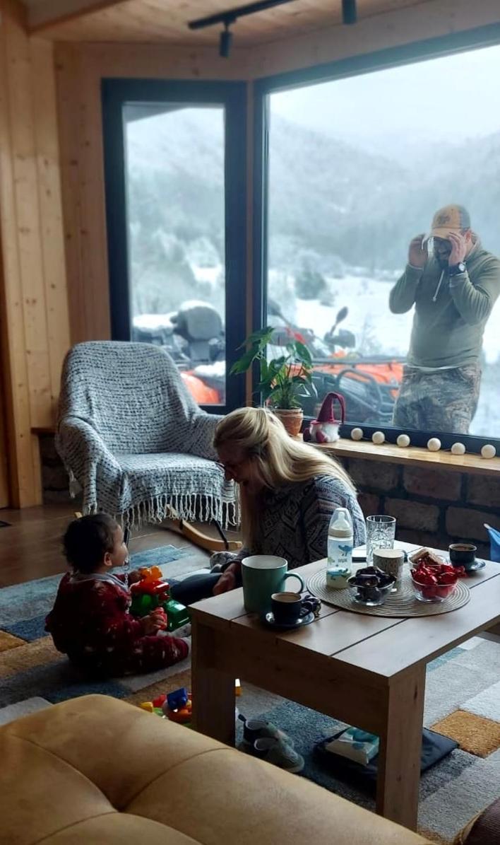 Zemunica Resimic Villa Mokra Gora Bagian luar foto