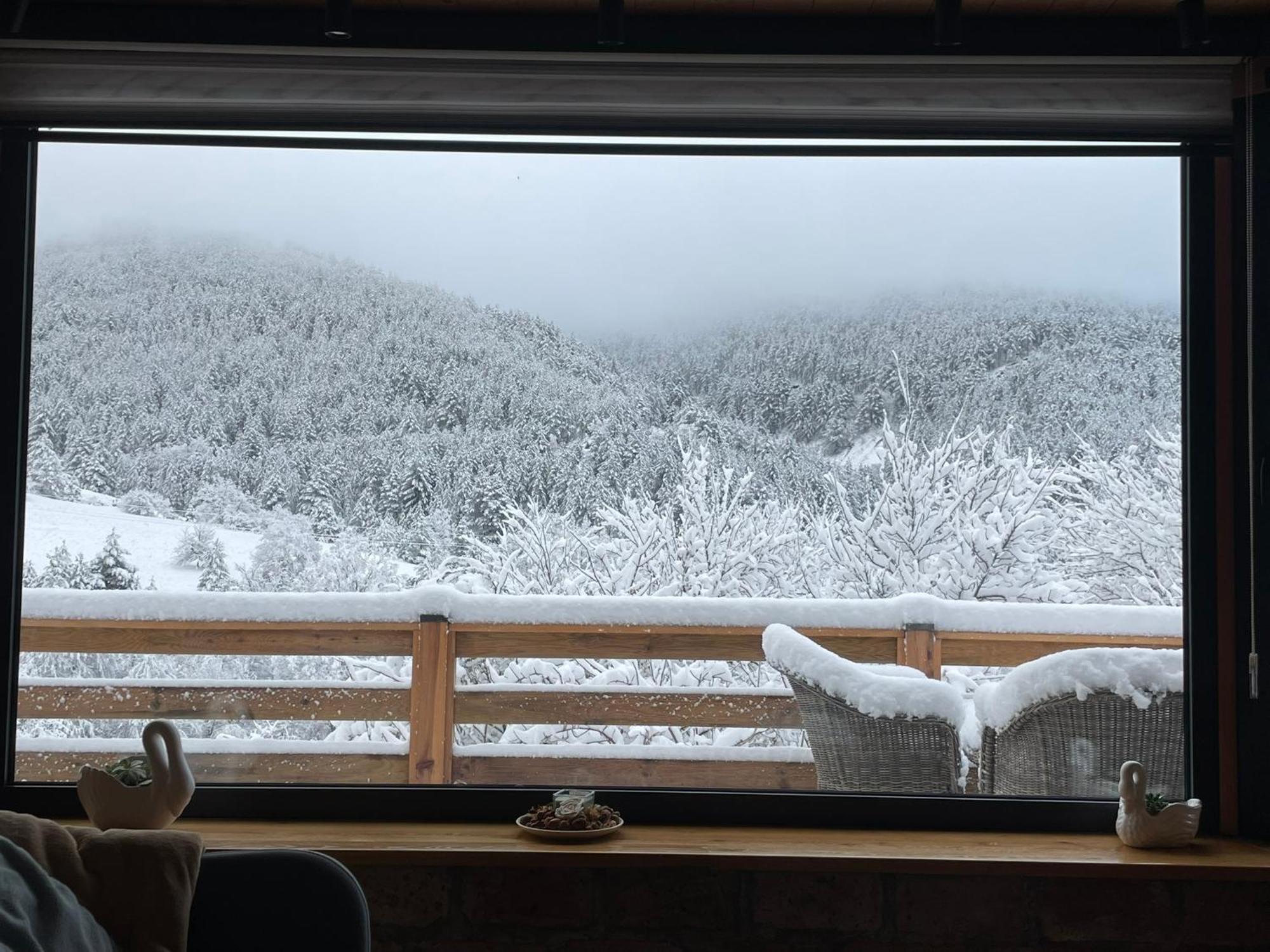 Zemunica Resimic Villa Mokra Gora Bagian luar foto
